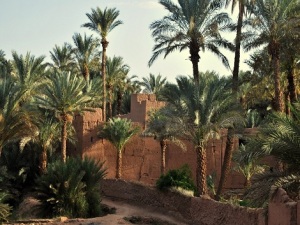 Ancienne kasbah dans la palmeraie de Zagora